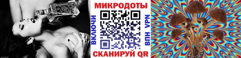 Галлюциногенные грибы прущие грибы  Купить  Вичуга 
