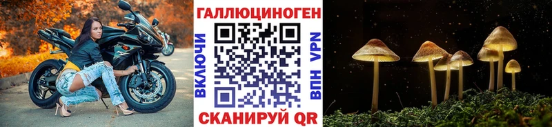 Псилоцибиновые грибы Psilocybine cubensis Вичуга